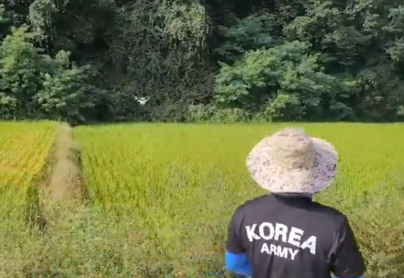 비료살포